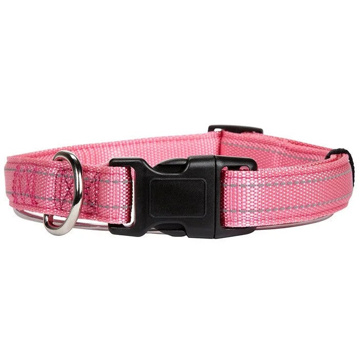 - Environmentally friendly pet toy recommendationsPetmate Padded Reflective Dog Collar Pink 5/8 X 10-16in