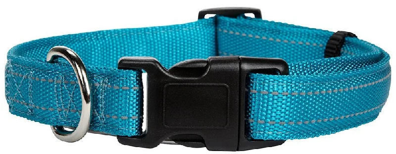 - Cat scratching board toy recommendationsPetmate Padded Reflective Dog Collar Teal 5/8 X 10-16in