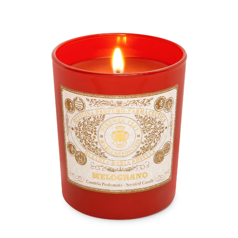 - Elderly dog ​​joint care mattressSanta Maria Novella Melograno Scented Candle (250 g) #10087479