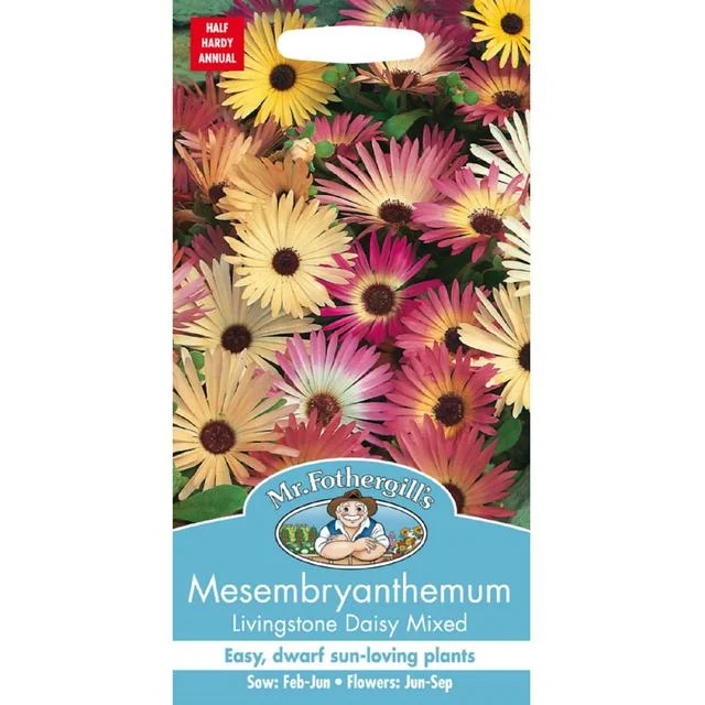 - Automatic temperature adjustment cat bedMr Fothergills Mesembryanthemum Livingstone Daisy Seeds