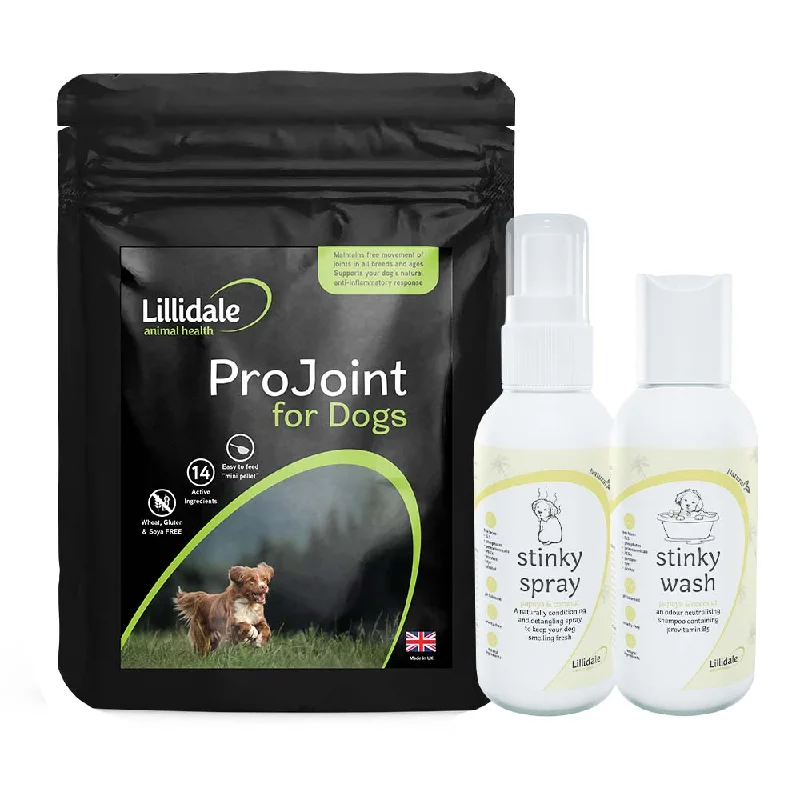 Lillidale Active Kit Dog Trial Box